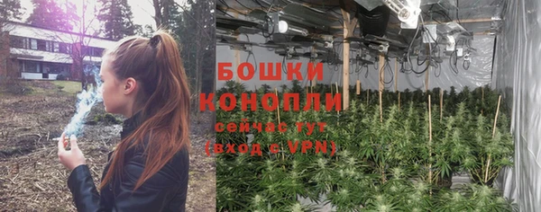 гидропоника Горнозаводск