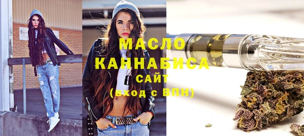 дживик Сясьстрой
