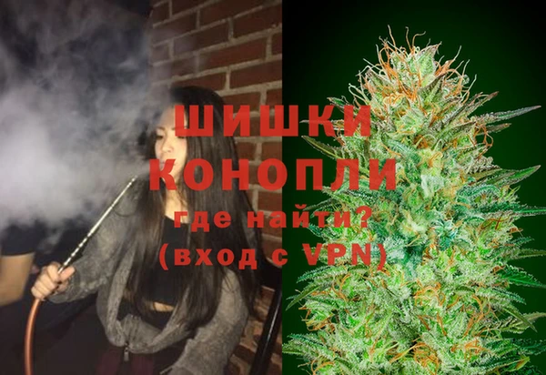 гидропоника Горнозаводск