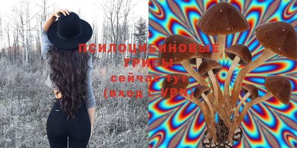 гидропоника Горнозаводск