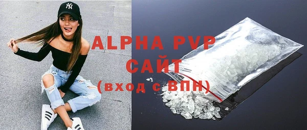 дживик Сясьстрой