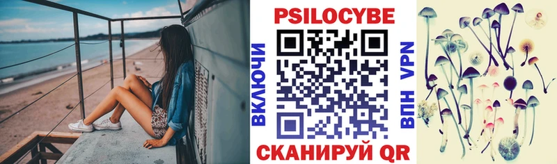 Псилоцибиновые грибы Psilocybe  Янаул 