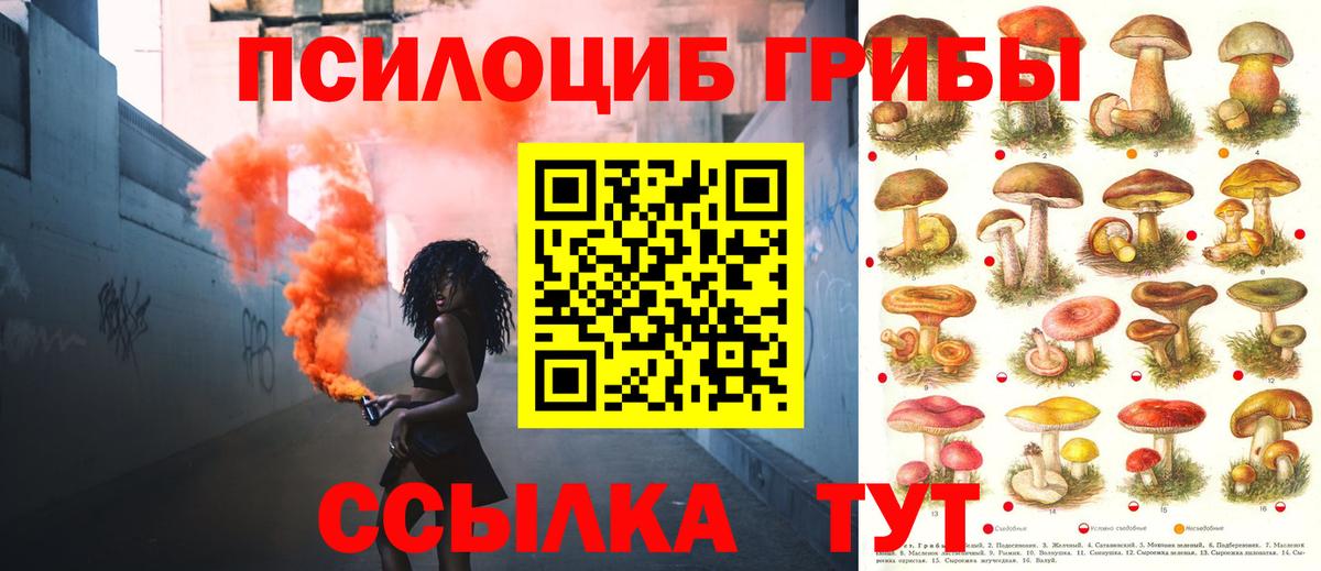 Псилоцибиновые грибы MAGIC MUSHROOMS  Галлюциногенные грибы Psilocybine cubensis  Вход с VPN  Янаул 