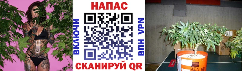 МАРИХУАНА планчик  дарнет шоп  Янаул 
